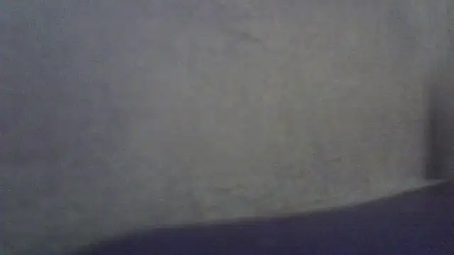 ViraVrema online show from 05/05/26, 08:23