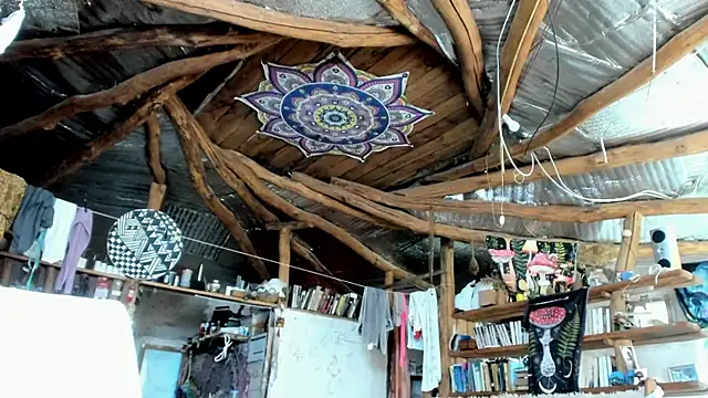 Snapshot of wildforestmuse_ chatting on 07/26/26, 06:31 wildforestmuse online show from 07/26/26, 06:31