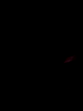 bisexual yh online show from 05/08/26, 02:48