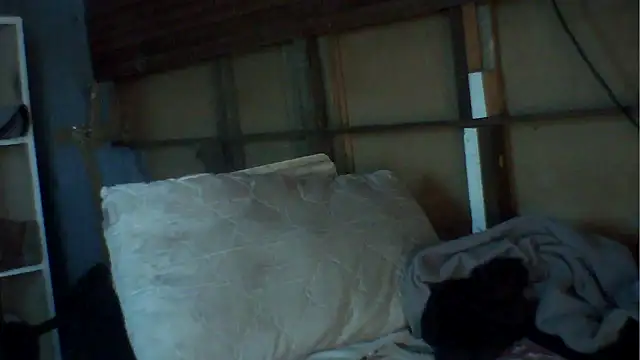 Camodick online show from 12/02/25, 08:49