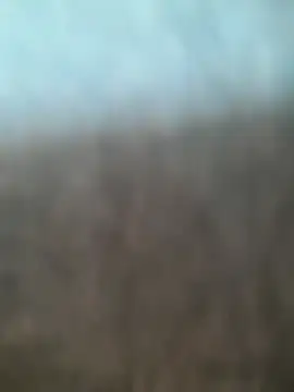 Snapshot of kasalsecrets chatting on 07/02/26, 05:52 kasalsecrets online show from 07/02/26, 05:52
