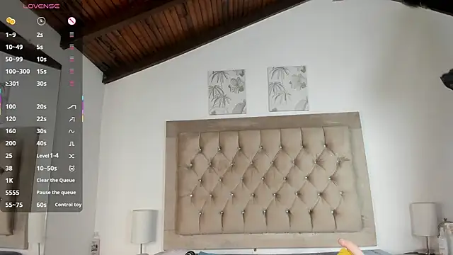 erika 222 online show from 05/20/26, 11:40