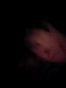 -Trici- online show from 05/19/26, 06:59