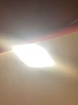 allyroseeee online show from 05/14/26, 05:37