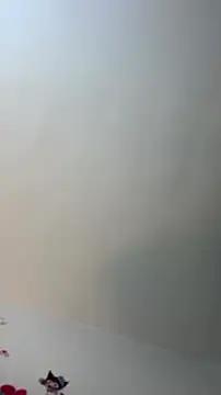 Snapshot of Eilicarver chatting on 07/04/26, 12:43 Eilicarver online show from 07/04/26, 12:43