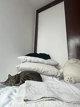 Charlottee01- online show from 07/01/26, 08:53