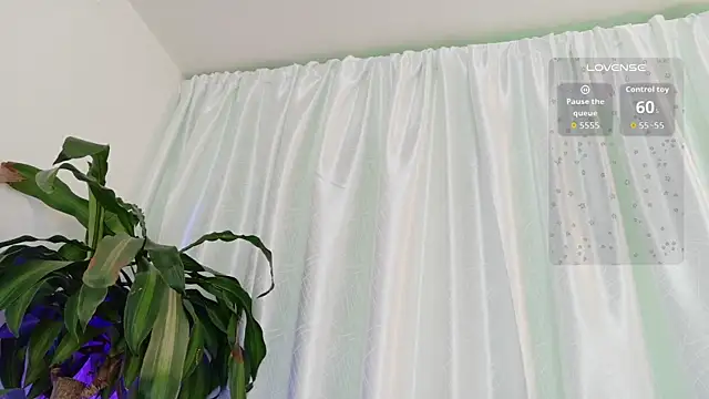 cata cat online show from 06/24/26, 02:15