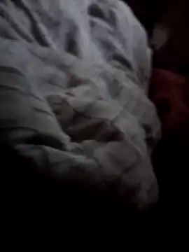 guyswithhardcock online show from 06/01/26, 04:28