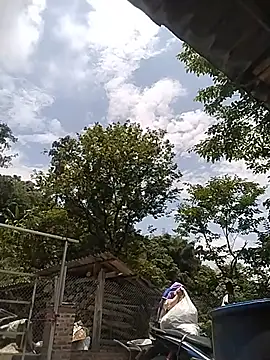 Caily-ly online show from 05/19/26, 05:14