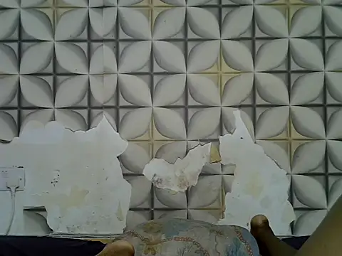 fine grap online show from 06/30/26, 12:05