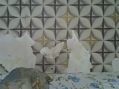 fine grap online show from 07/07/26, 05:05