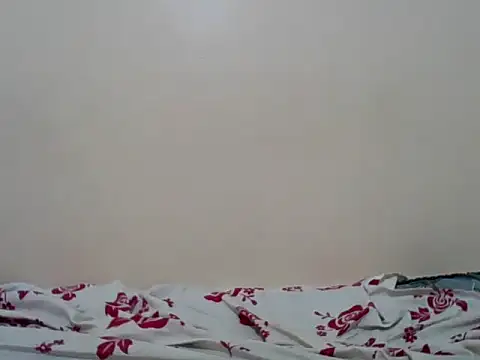 Snapshot of Hornysmoker20 chatting on 07/07/26, 06:47 Hornysmoker20 online show from 07/07/26, 06:47