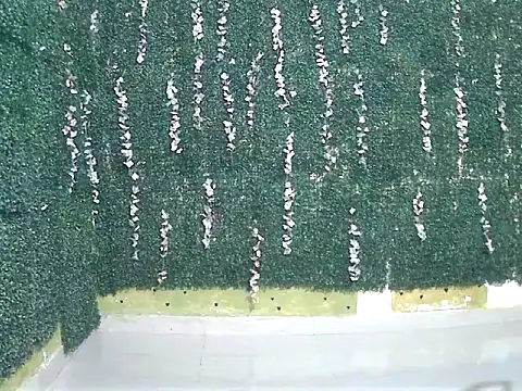 shallykaur online show from 06/14/26, 04:03