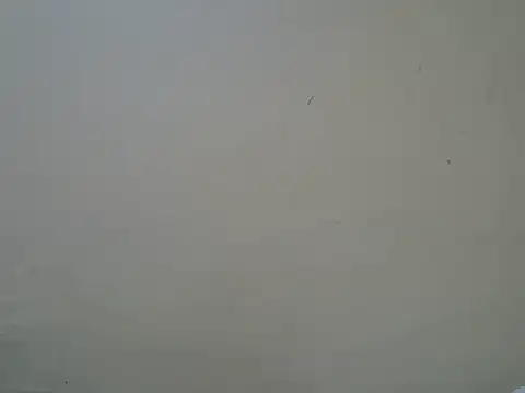 Talishabae online show from 06/12/26, 06:38