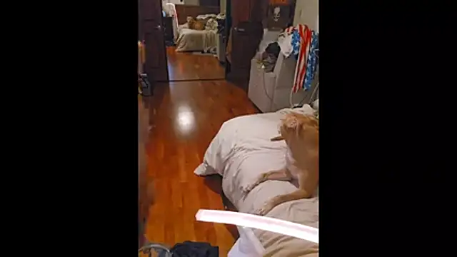 Clevername90 online show from 10/26/25, 01:50