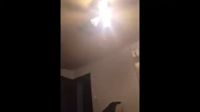 Clevername90 online show from 11/25/25, 11:05