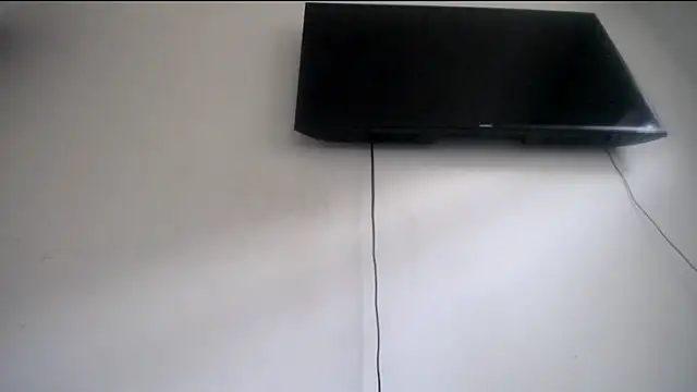 Fox Loves online show from 06/28/26, 09:54