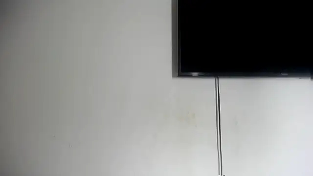 Fox Loves online show from 07/07/26, 11:30