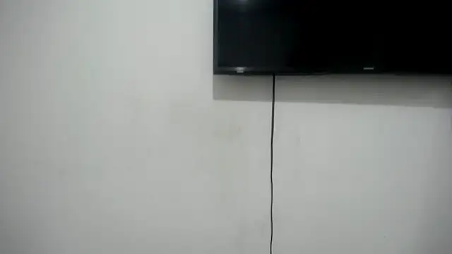 Fox Loves online show from 06/26/26, 11:21