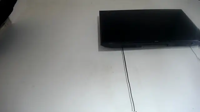 Fox Loves online show from 07/15/26, 10:28