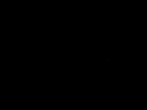 queen beev online show from 05/24/26, 07:58
