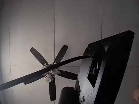 DaddyXLust online show from 07/24/26, 08:05