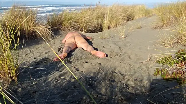 dog-naked online show from 11/30/25, 09:37