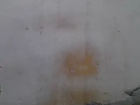 sweet camillah00 online show from 06/04/26, 03:17