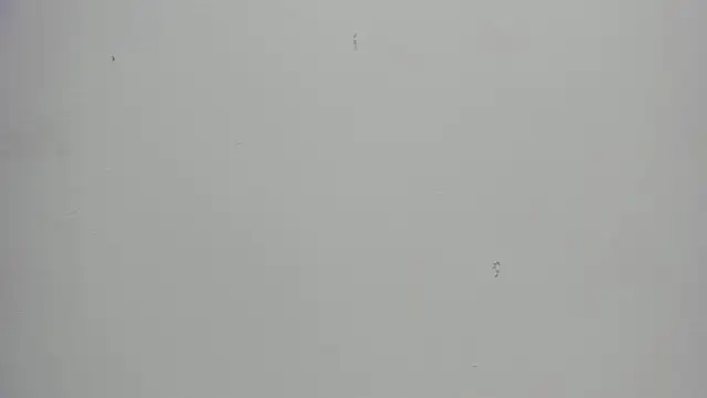 victoriagomez 1 online show from 05/27/26, 12:01