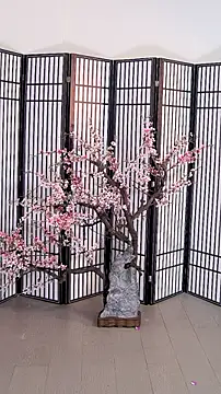 ouyanyan online show from 05/26/26, 12:14