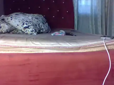 biggest black cock online show from 06/25/26, 02:22