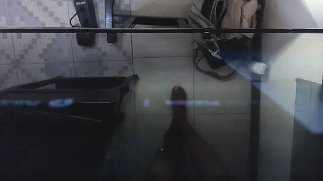 AshleySofiaThenison online show from 05/29/26, 03:34