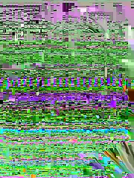 SashaMoo online show from 07/06/26, 11:07