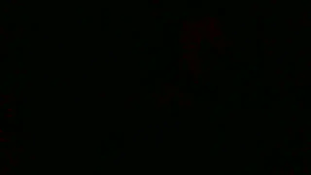 LilDaddyX online show from 07/23/26, 09:06