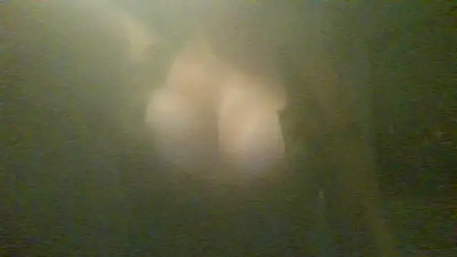 Snapshot of Miacarter1234 chatting on 07/18/26, 08:23 Miacarter1234 online show from 07/18/26, 08:23