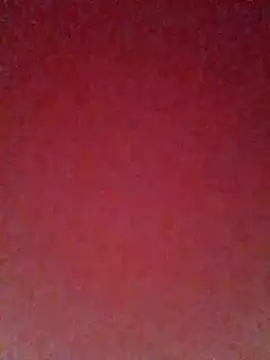 pricilanunes online show from 07/06/26, 11:39