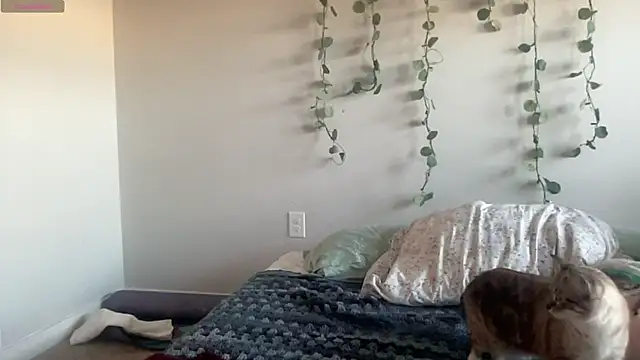 maddiliz online show from 11/27/25, 09:48