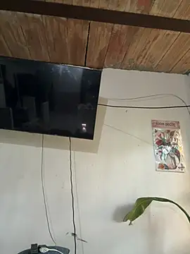 annybrannd1 online show from 06/14/26, 05:58