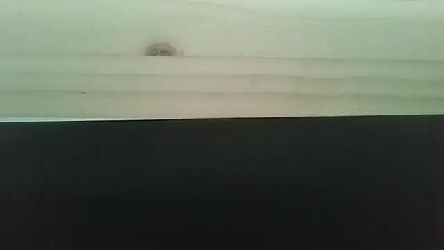 Snapshot of Hendrikje chatting on 06/02/26, 04:40 Hendrikje online show from 06/02/26, 04:40