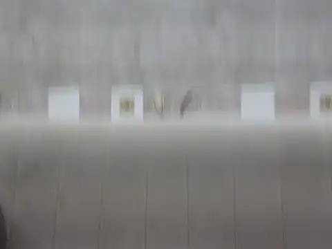 hey darling  online show from 06/12/26, 01:09