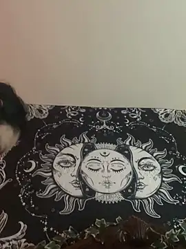 Snapshot of smoothkissx chatting on 01/29/25, 12:02 smoothkissx online show from 01/29/25, 12:02