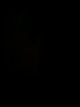 hook9sex online show from 06/11/26, 04:53