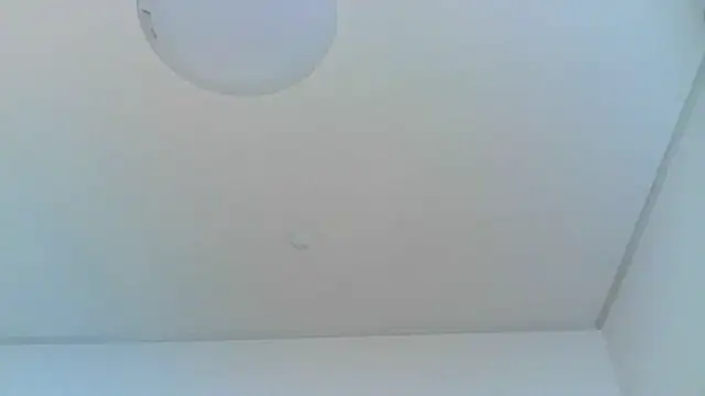 Snapshot of yoci0101 chatting on 06/29/26, 04:39 yoci0101 online show from 06/29/26, 04:39