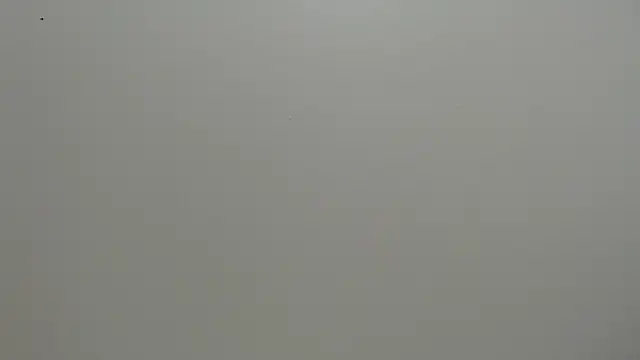 koral 27 online show from 06/30/26, 12:49