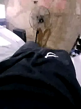 Snapshot of Ricapajarica chatting on 01/14/26, 03:15 Ricapajarica online show from 01/14/26, 03:15