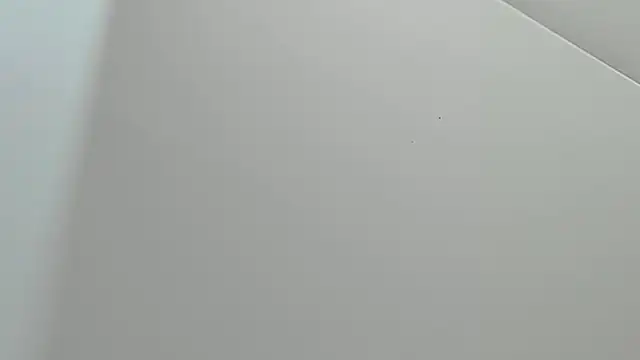 Snapshot of Chloe__fox_ chatting on 07/19/26, 01:08 Chloe fox online show from 07/19/26, 01:08