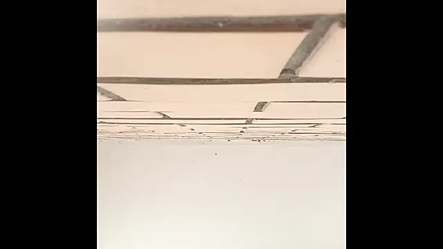 IronicBuckle online show from 07/02/26, 03:23
