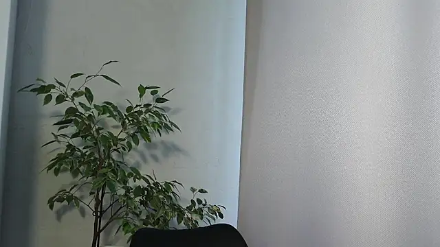 Snapshot of MariaTravel chatting on 07/24/26, 02:35 MariaTravel online show from 07/24/26, 02:35