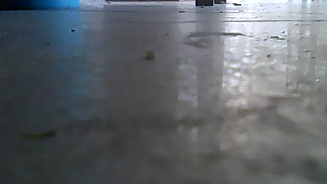 Snapshot of SirFrankonde chatting on 08/02/26, 12:58 SirFrankonde online show from 08/02/26, 12:58