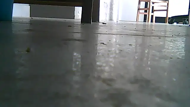 Snapshot of SirFrankonde chatting on 08/01/26, 12:47 SirFrankonde online show from 08/01/26, 12:47